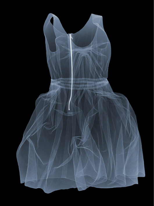 VLC Trends: Fotografía en rayos X