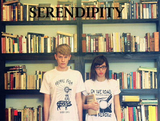 Serendipity: “poleras literarias”