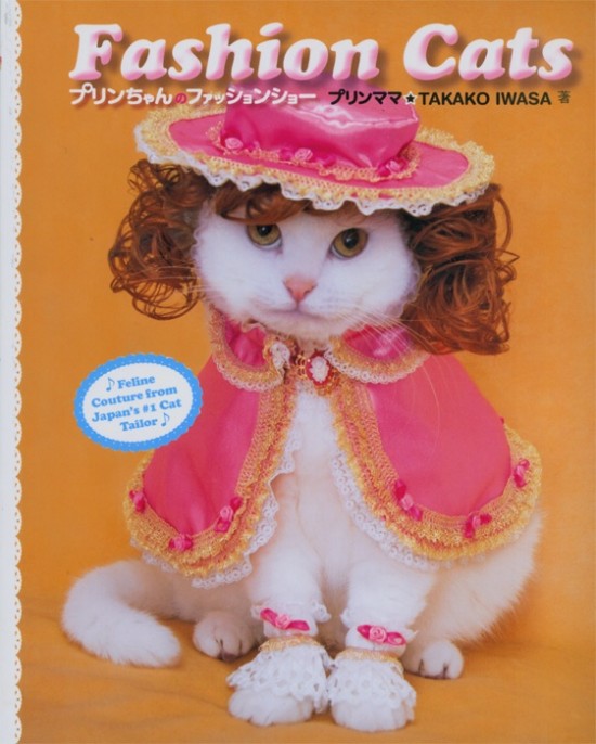 Fashion Cats, el nuevo libro de VICE