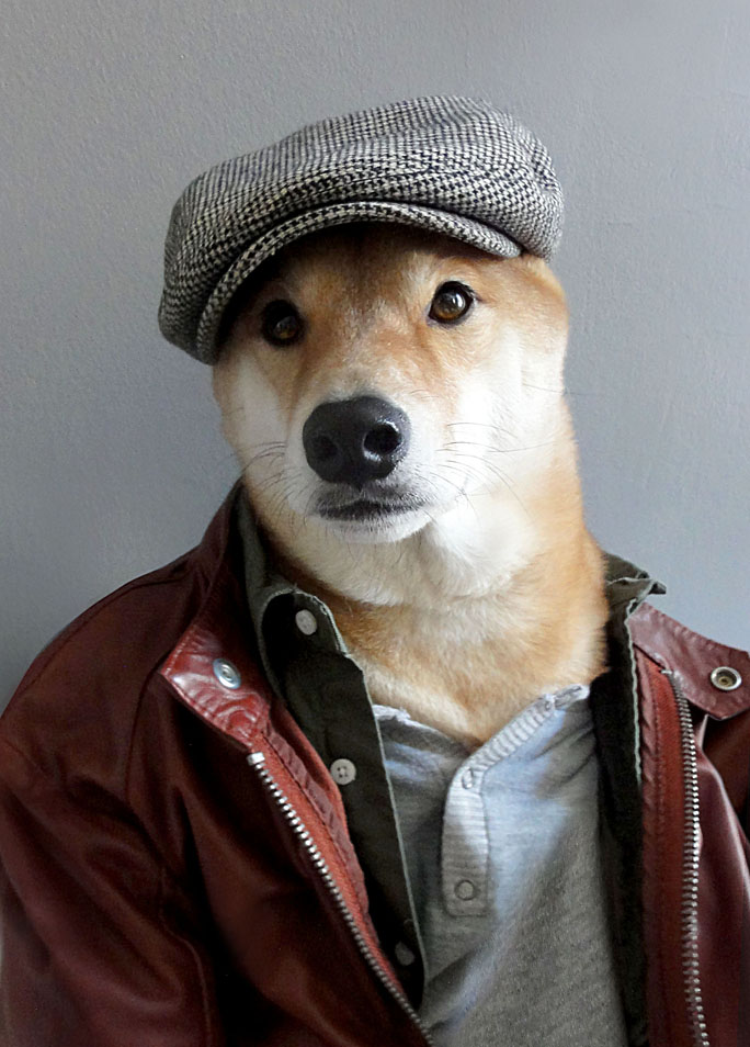 Menswear Dog, el perro fashionista con blog