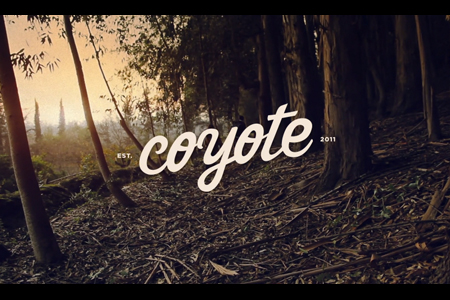 VLC ♥ Coyote handmade Bags