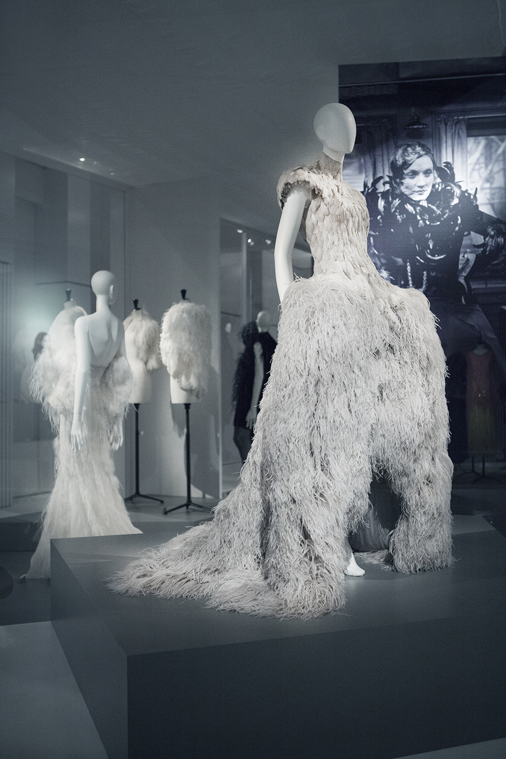 La exhibición “Birds of Paradise” en Bélgica: Un tributo a la elegancia de las plumas en el mundo de la moda