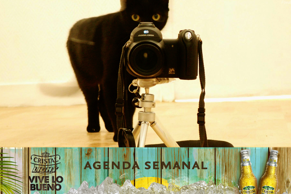 Agenda Cristal Light: Panoramas del 7 al 10 de agosto + ¡concurso!