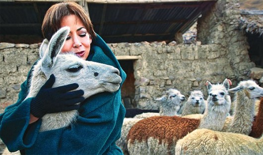 Despedimos a la Reina de la Alpaca boliviana, Beatriz Canedo Patiño