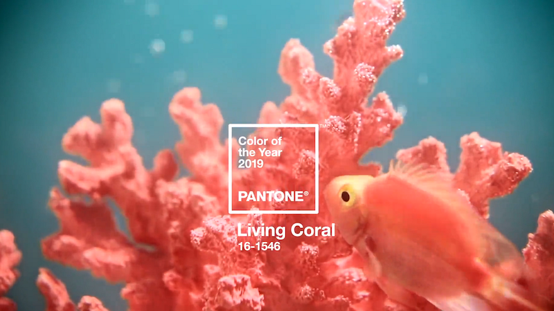 Cómo llevar el Living Coral, el color Pantone de 2019, según estilistas y asesores de imagen chilenos