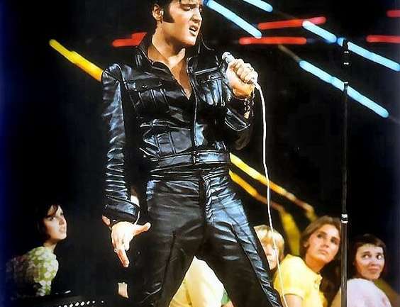 Elvis Presley: El rey del estilo