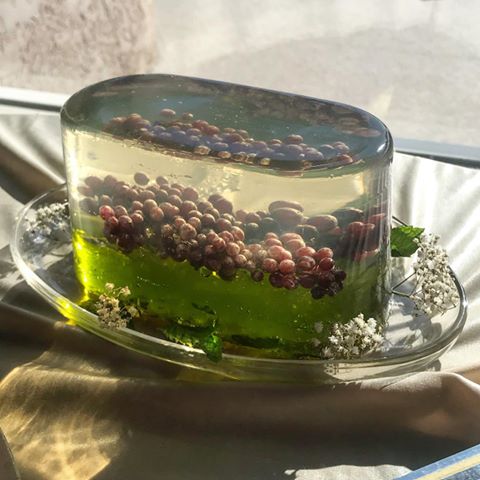 Botanical Cake Museum, la cuenta de Instagram que revaloriza el arte de las gelatinas